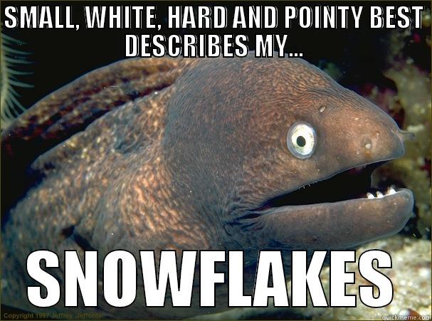 SMALL, WHITE, HARD AND POINTY BEST DESCRIBES MY... SNOWFLAKES Bad Joke Eel