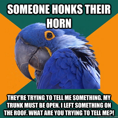 someone honks their horn they're trying to tell me something. my trunk must be open. i left something on the roof. what are you trying to tell me?!  Paranoid Parrot