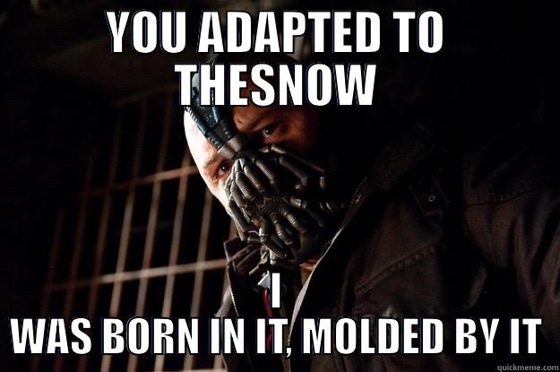 BANE HAHAHA - YOU ADAPTED TO THESNOW I WAS BORN IN IT, MOLDED BY IT Angry Bane