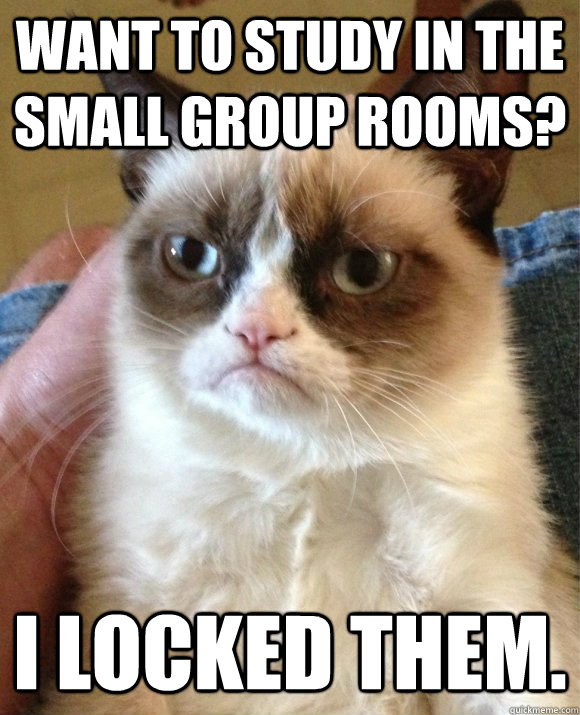 Want to study in the small group rooms? I locked them.  Tard the Cat