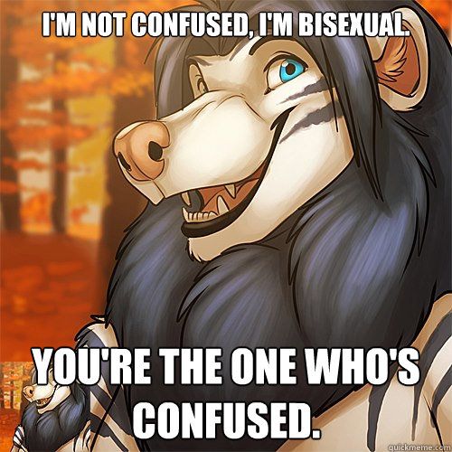 I'm not confused, I'm bisexual. You're the one who's confused.  