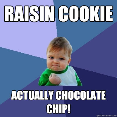 raisin cookie actually chocolate chip!  Success Kid