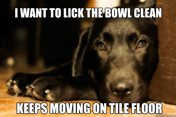 i want to lick the bowl clean keeps moving on tile floor  First World Dog problems