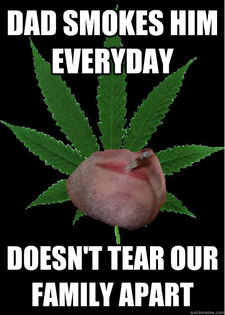 Dad smokes him everyday doesn't tear our family apart  Good Guy Weed