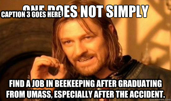 One Does Not Simply Find a job in beekeeping after graduating from UMass, especially after the accident. Caption 3 goes here  Boromir