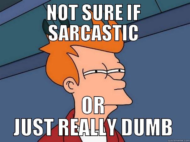 NOT SURE IF SARCASTIC OR JUST REALLY DUMB Futurama Fry
