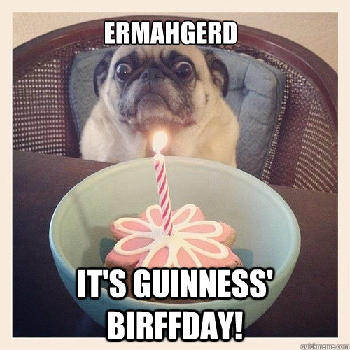 Ermahgerd it's guinness' birffday!  Scared birthday pug