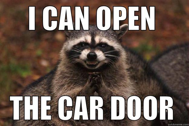I CAN OPEN THE CAR DOOR Evil Plotting Raccoon