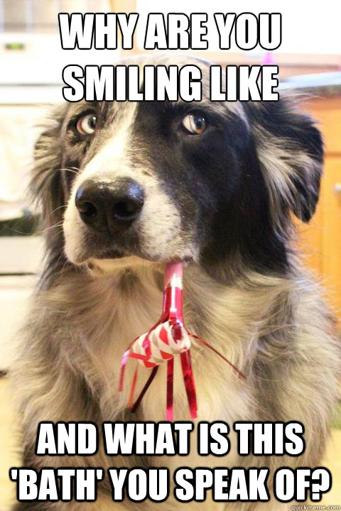 Why are you smiling like that? And what is this 'bath' you speak of?  Skeptical Party Dog