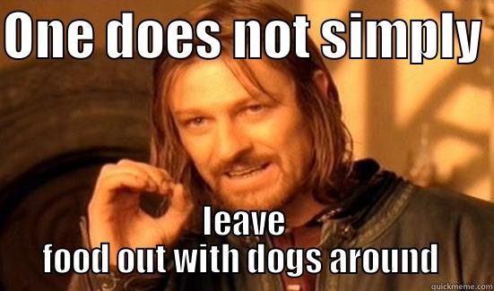 ONE DOES NOT SIMPLY  LEAVE FOOD OUT WITH DOGS AROUND  Boromir