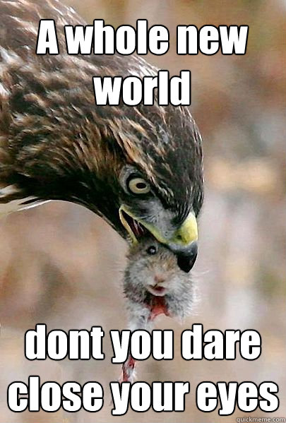 A whole new world dont you dare close your eyes  
