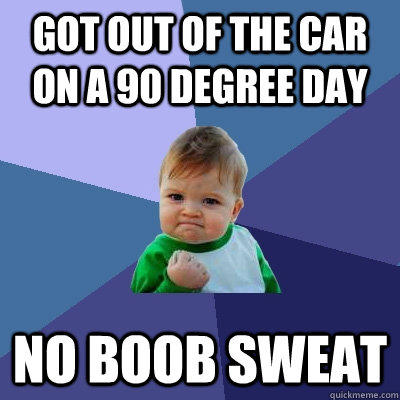 Got out of the car on a 90 degree day No boob sweat  Success Kid