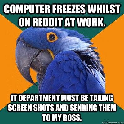 Computer freezes whilst on reddit at work. IT department must be taking screen shots and sending them to my boss.  Paranoid Parrot