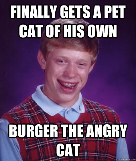 finally gets a pet cat of his own burger the angry cat  Bad Luck Brian