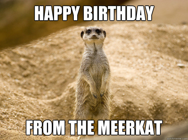 HAPPy birthday From The Meerkat  
