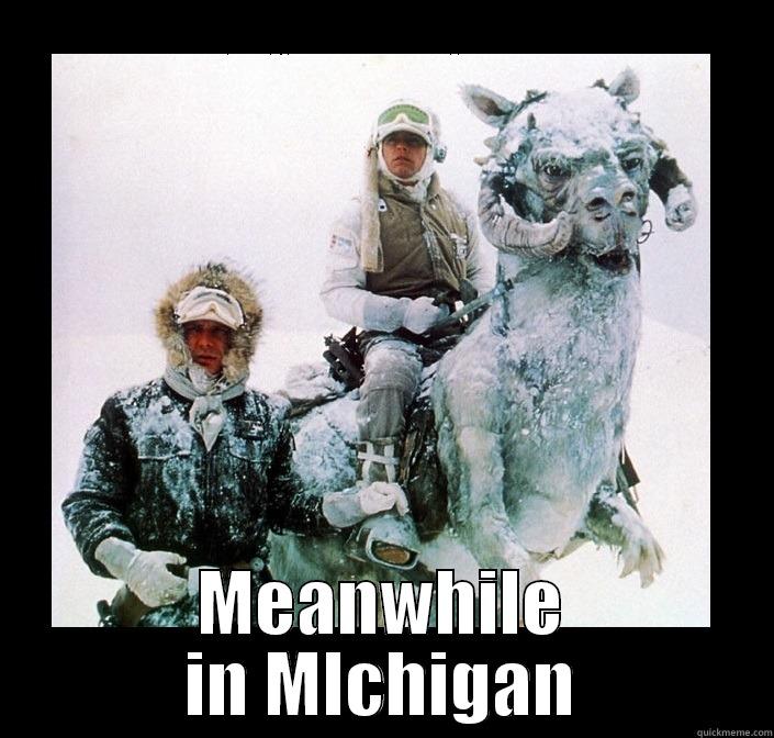 Michigan Winter -  MEANWHILE IN MICHIGAN Misc