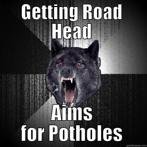 GETTING ROAD HEAD AIMS FOR POTHOLES Insanity Wolf