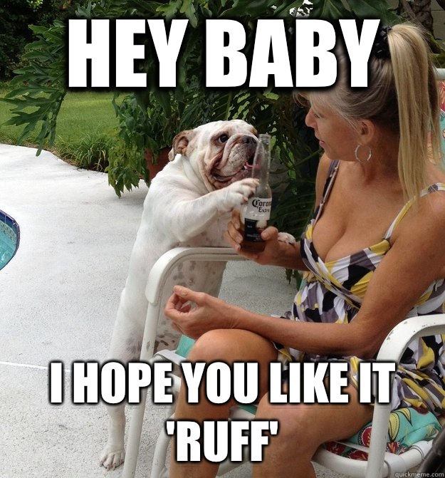 Hey baby I hope you like it 'ruff'  PUA Dog