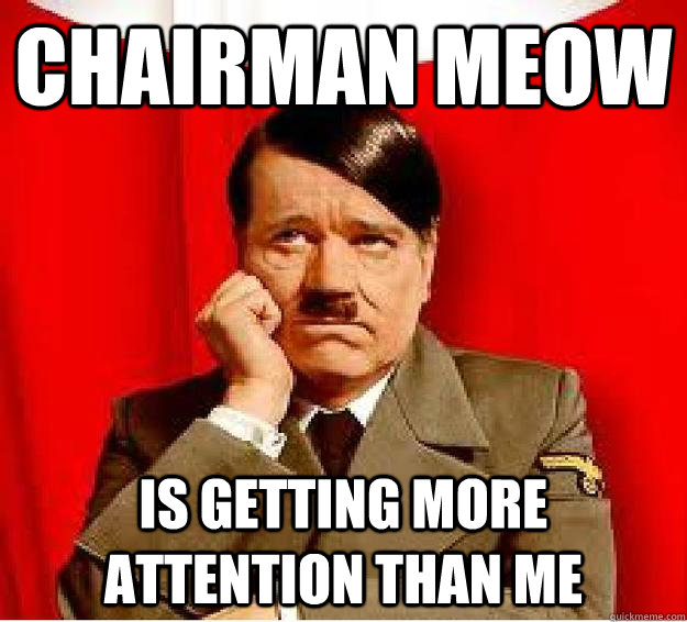Chairman Meow Is getting more attention than me  Sad Hitler