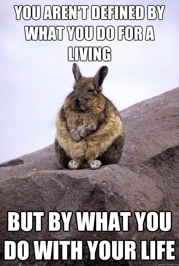 You aren't defined by what you do for a living but by what you do with your life  Wise Wondering Viscacha
