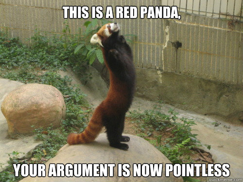 This is a red panda,  Your Argument is now pointless  