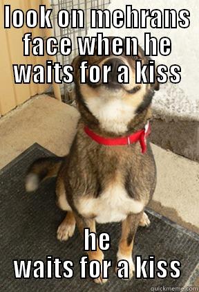 LOOK ON MEHRANS FACE WHEN HE WAITS FOR A KISS HE WAITS FOR A KISS Good Dog Greg
