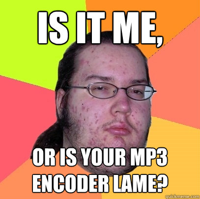 Is it me, or is your mp3 encoder lame?  Butthurt Dweller