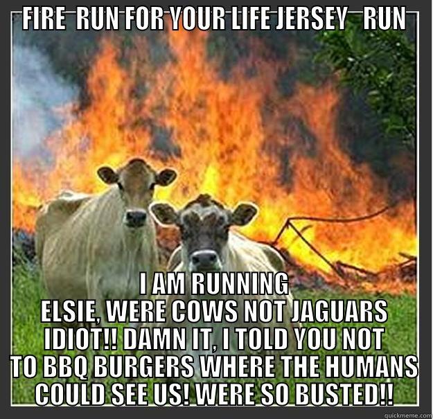 FIRE  RUN FOR YOUR LIFE JERSEY   RUN I AM RUNNING ELSIE, WERE COWS NOT JAGUARS IDIOT!! DAMN IT, I TOLD YOU NOT TO BBQ BURGERS WHERE THE HUMANS COULD SEE US! WERE SO BUSTED!! Evil cows