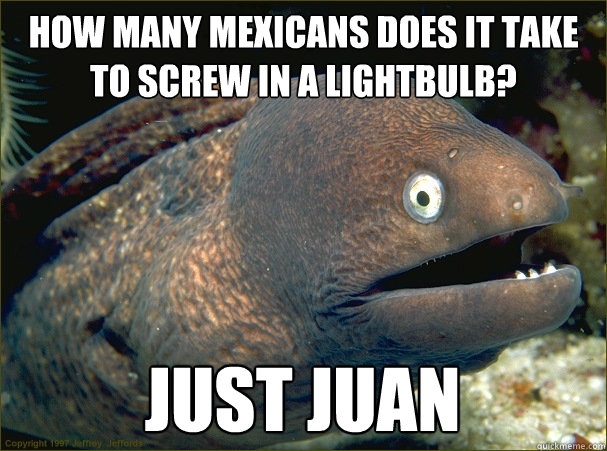 How many mexicans does it take to screw in a lightbulb?  Just juan  Bad Joke Eel