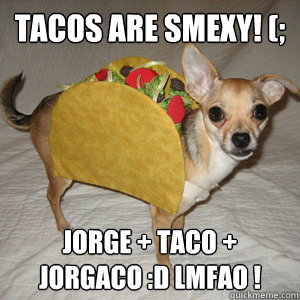 Tacos are smexy! (; Jorge + Taco + Jorgaco :D lmfao !  Taco Dog