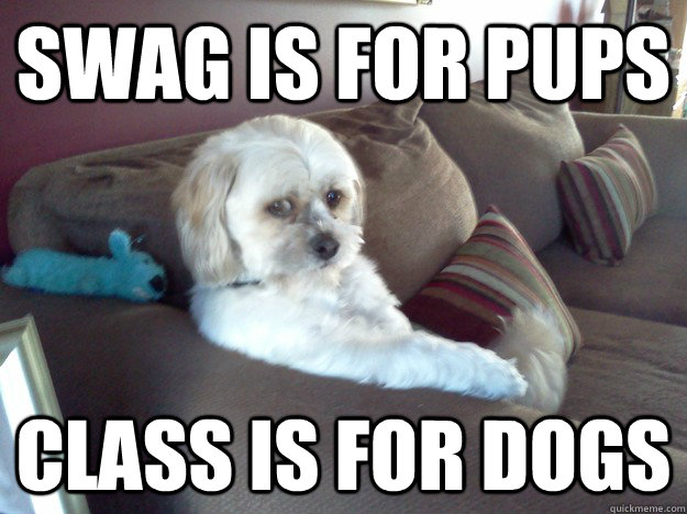 swag is for pups class is for dogs  