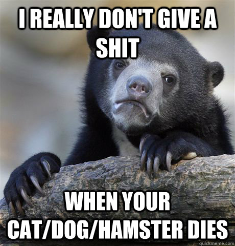 i really don't give a shit when your cat/dog/hamster dies  Confession Bear