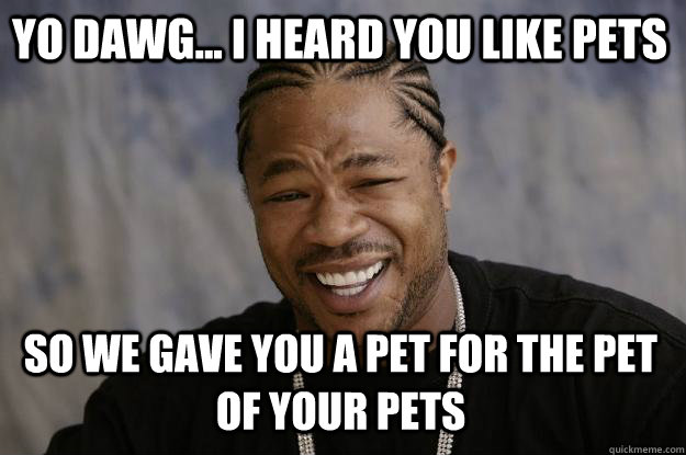 Yo dawg... I heard you like pets so we gave you a pet for the pet of your pets  Xzibit meme