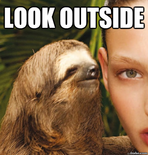 look outside   rape sloth