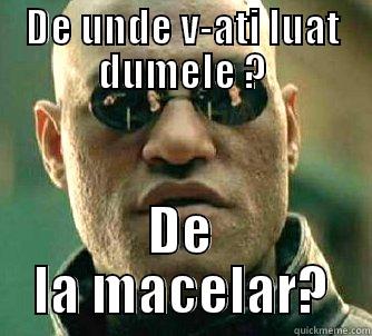 first world - DE UNDE V-ATI LUAT DUMELE ? DE LA MACELAR? Matrix Morpheus