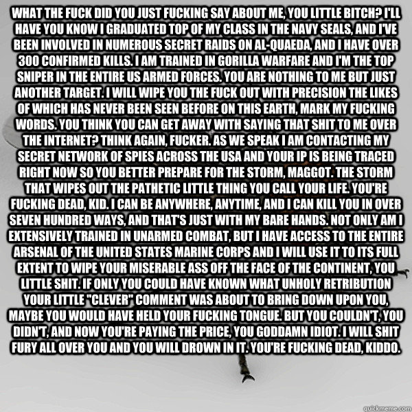 What the fuck did you just fucking say about me, you little bitch? I'll have you know I graduated top of my class in the Navy Seals, and I've been involved in numerous secret raids on Al-Quaeda, and I have over 300 confirmed kills. I am trained in gorilla - What the fuck did you just fucking say about me, you little bitch? I'll have you know I graduated top of my class in the Navy Seals, and I've been involved in numerous secret raids on Al-Quaeda, and I have over 300 confirmed kills. I am trained in gorilla  Scumbag Fly