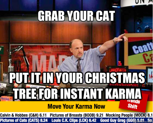 grab your cat put it in your christmas tree for instant karma - grab your cat put it in your christmas tree for instant karma  Mad Karma with Jim Cramer