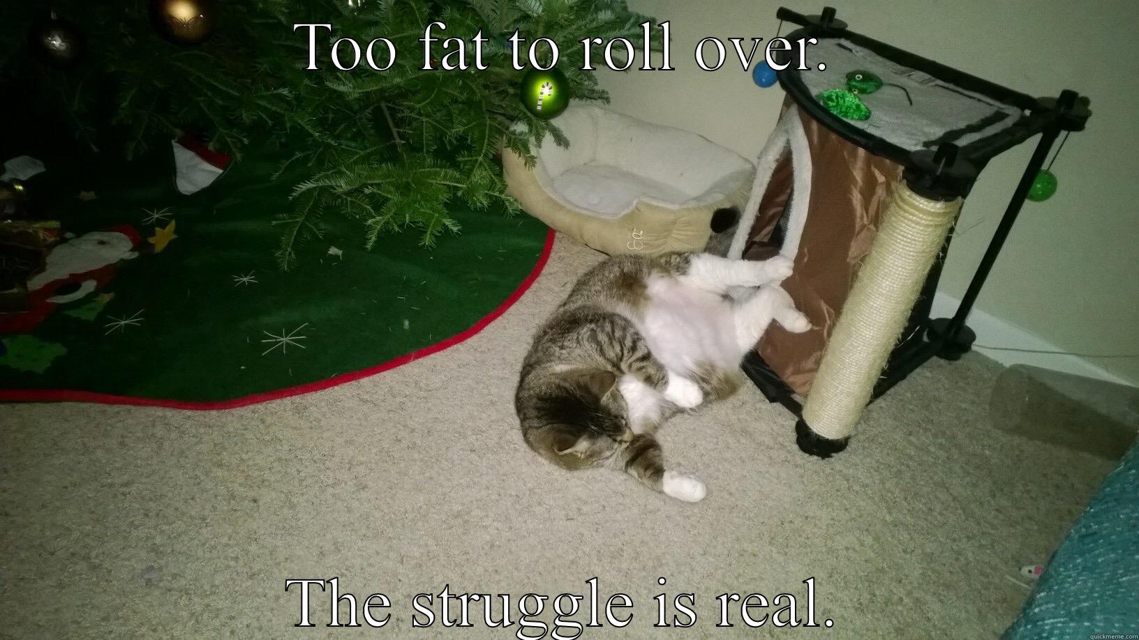 TOO FAT TO ROLL OVER. THE STRUGGLE IS REAL. Misc