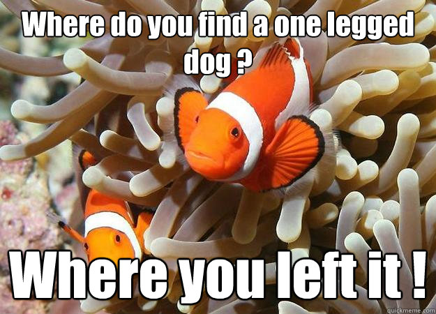 Where do you find a one legged dog ? Where you left it !  clownfish comic