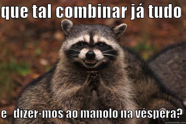 QUE TAL COMBINAR JÁ TUDO   E   DIZER-MOS AO MANOLO NA VÉSPERA? Evil Plotting Raccoon