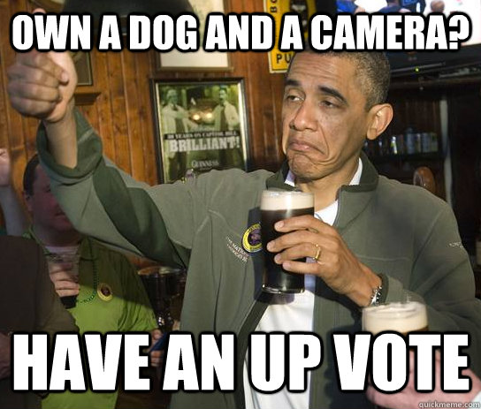 own a dog and a camera? have an up vote  Approving Obama