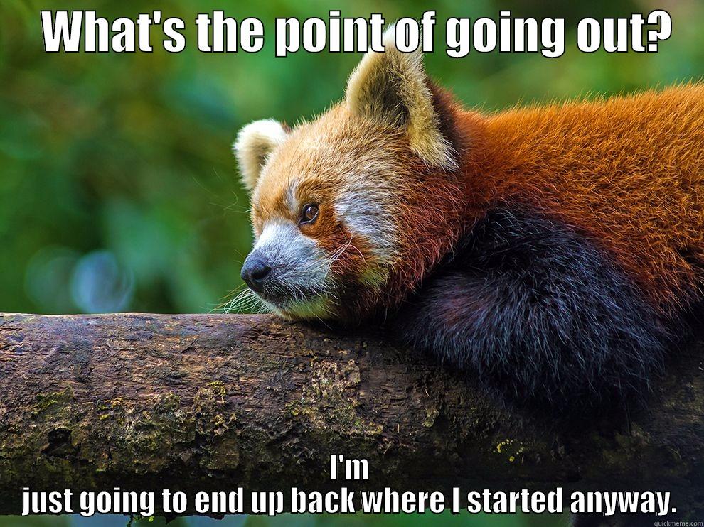    WHAT'S THE POINT OF GOING OUT?    I'M JUST GOING TO END UP BACK WHERE I STARTED ANYWAY. Misc