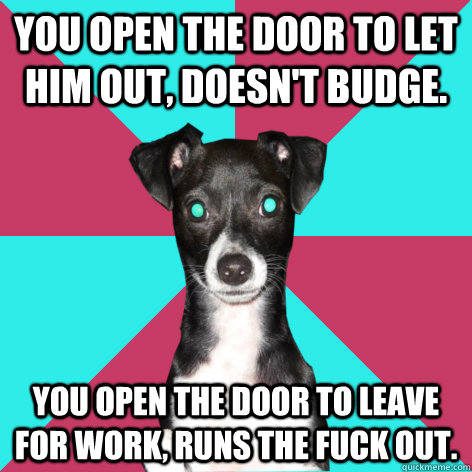 you open the door to let him out, doesn't budge.  you open the door to leave for work, runs the fuck out. - you open the door to let him out, doesn't budge.  you open the door to leave for work, runs the fuck out.  Dickhead Dog