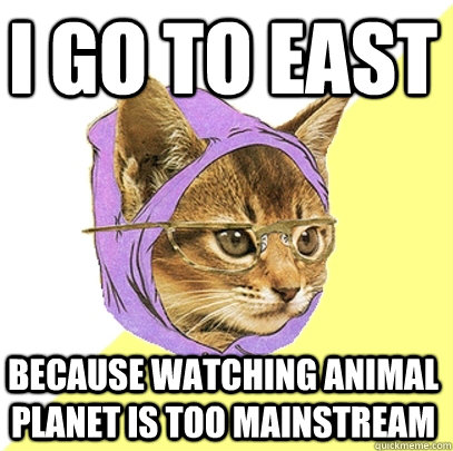 I go to east because watching animal planet is too mainstream  Hipster Kitty