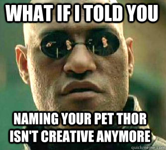 what if i told you naming your pet thor isn't creative anymore  Matrix Morpheus