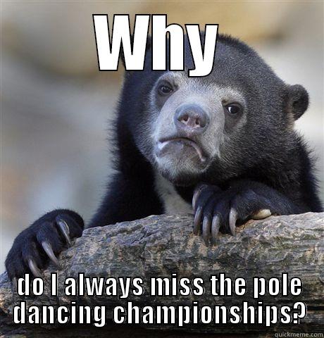 WHY DO I ALWAYS MISS THE POLE DANCING CHAMPIONSHIPS? Confession Bear