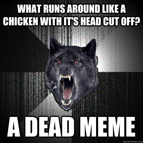 What runs around like a chicken with it's head cut off? A DEAD MEME - What runs around like a chicken with it's head cut off? A DEAD MEME  Insanity Wolf