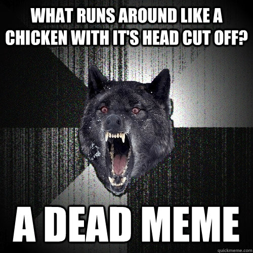 What runs around like a chicken with it's head cut off? A DEAD MEME  Insanity Wolf