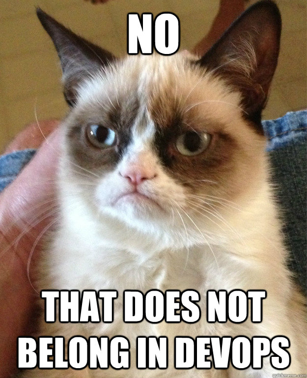 NO That does not belong in DevOps - NO That does not belong in DevOps  Grumpy Cat