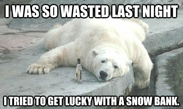 I was so wasted last night I tried to get lucky with a snow bank.  - I was so wasted last night I tried to get lucky with a snow bank.   Drunk Polar Bear